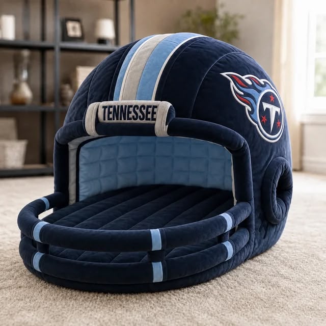 Twin Sized Helmet Beds