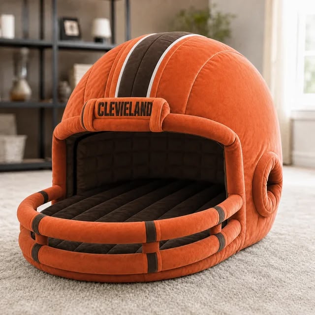 Twin Sized Helmet Beds