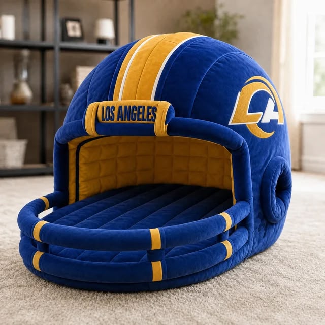 Twin Sized Helmet Beds