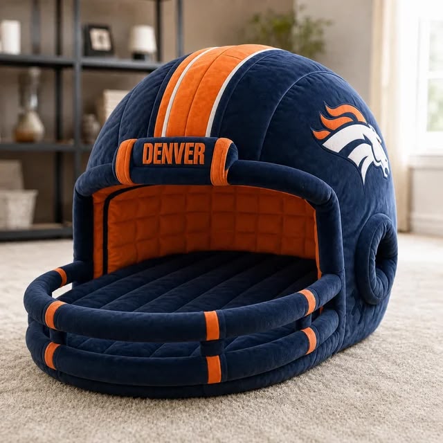 Twin Sized Helmet Beds