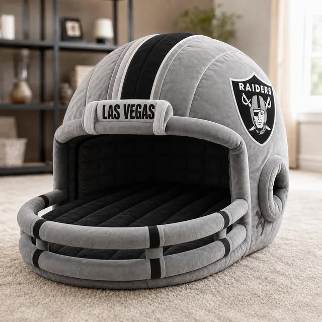 Twin Sized Helmet Beds
